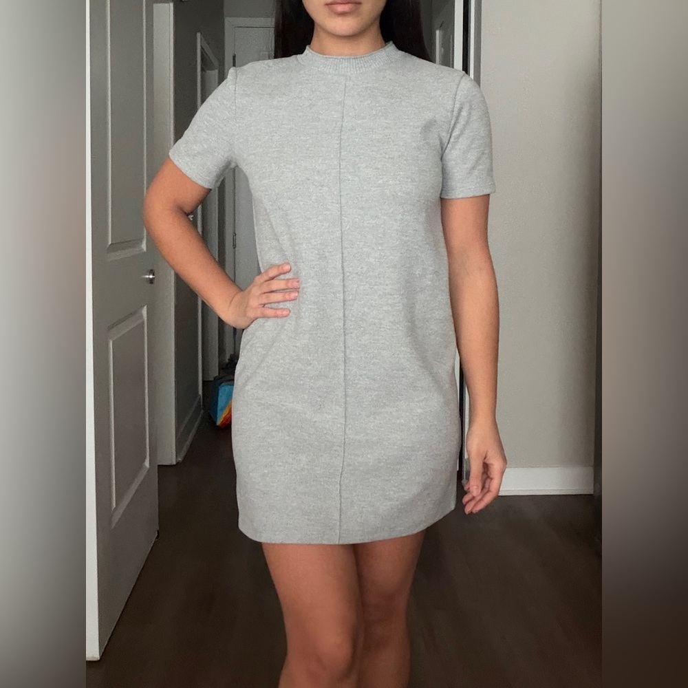 Zara Light Gray Mini Dress